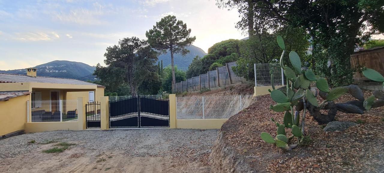 Apartamento Agreable Rez De Jardin Avec Piscine Et Jacuzzi Cervione Exterior foto